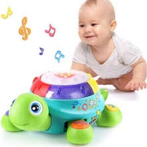 iPlay, iLearn Musical Turtle Baby Toddler Toy‎